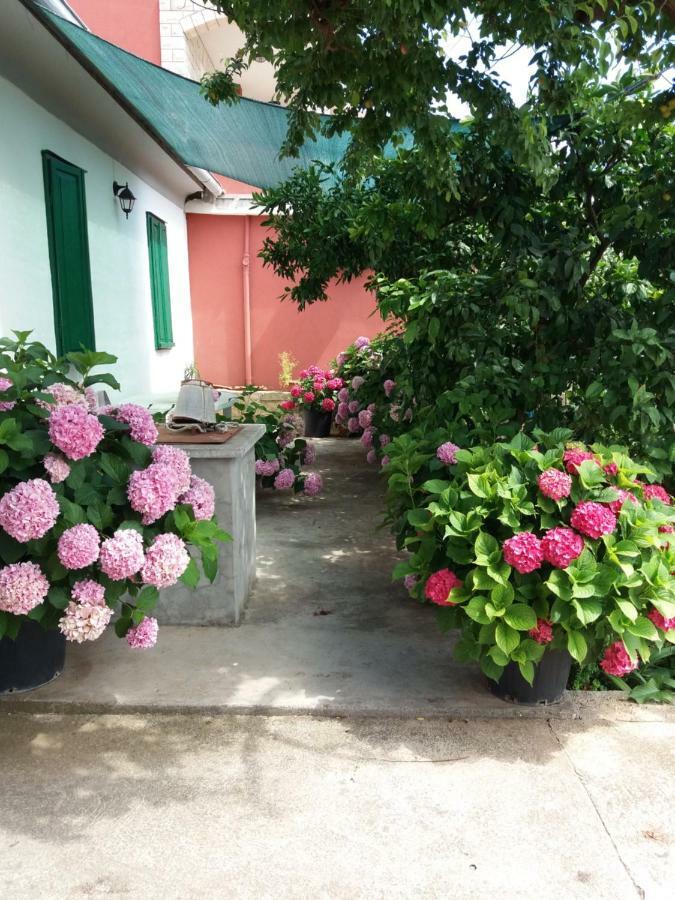 Apartmani Ana Bibinje Exterior photo